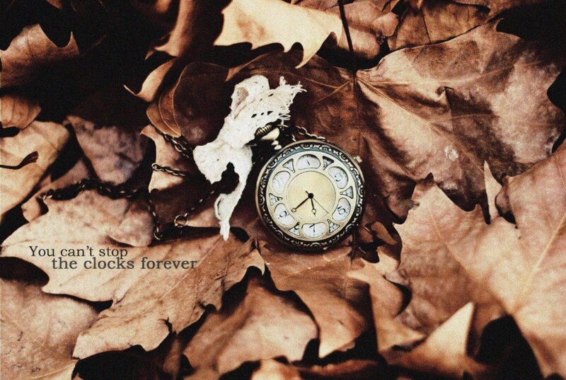 Pocket Watch in Leaves — Brown, Melancholic