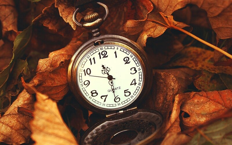 Pocket Watch in Leaves — Brown