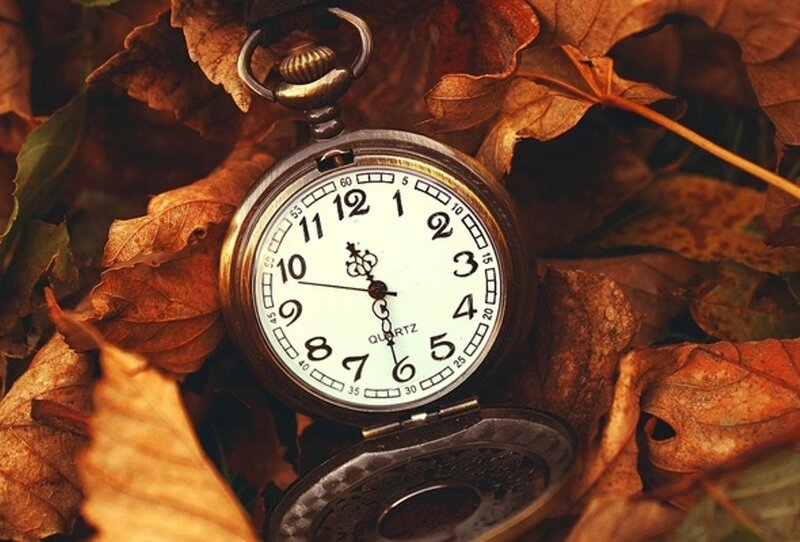 Pocket Watch in Leaves