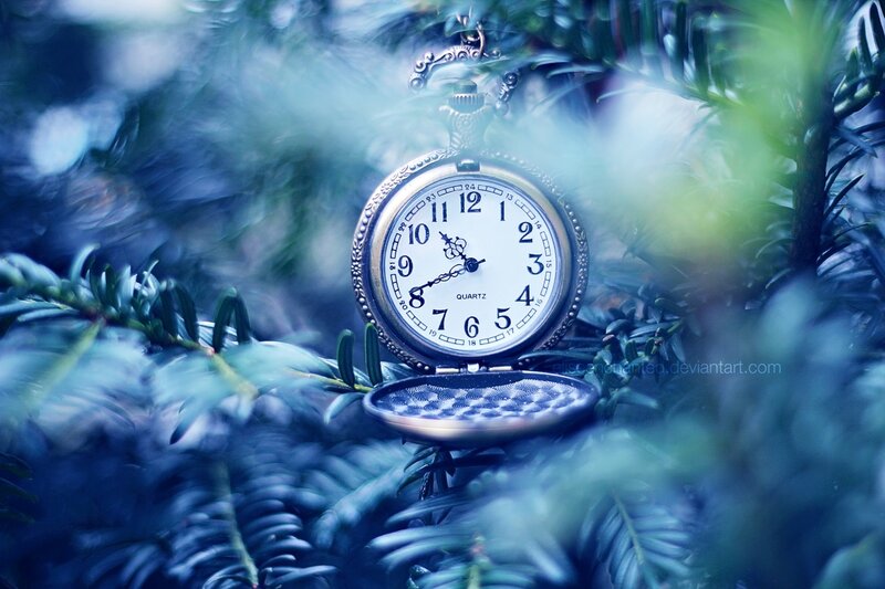 Pocket Watch in Pine Needles