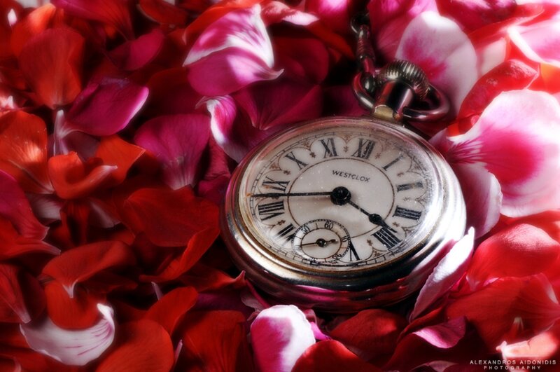 Pocket Watch in Rose Petals — Red, Romantic