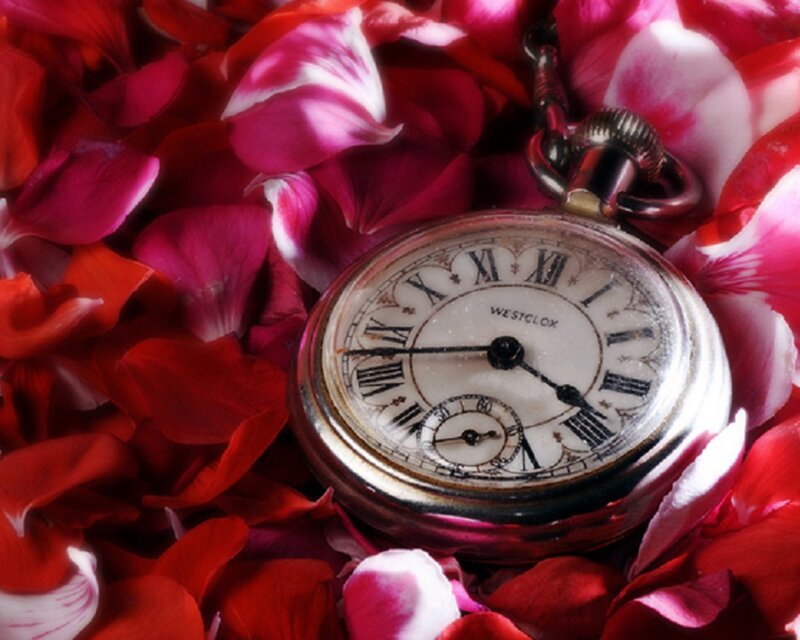 Pocket Watch in Rose Petals — Red