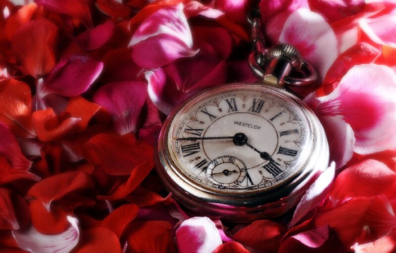 Pocket Watch in Rose Petals