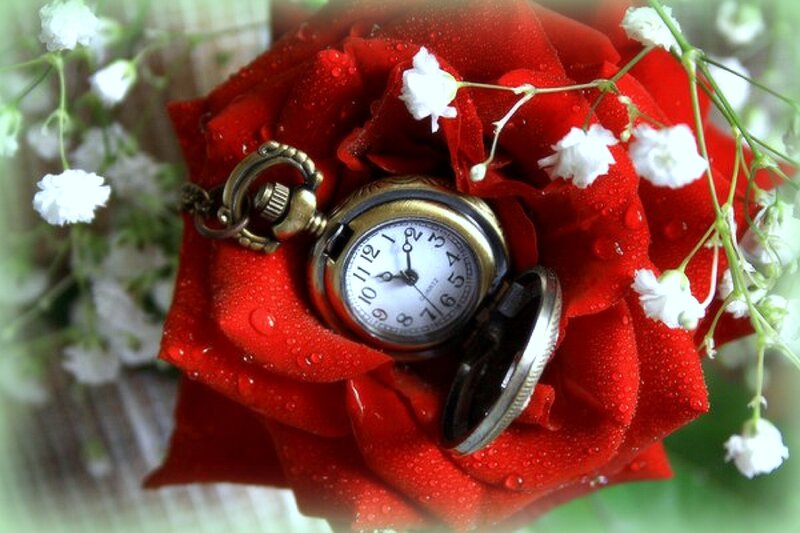 Pocket Watch in Rose — Red, Romantic, Photograph