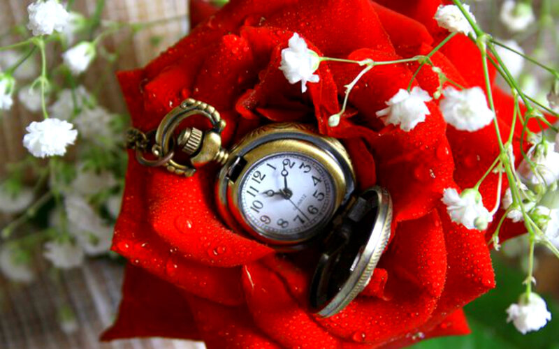 Pocket Watch in Rose — Red, Romantic