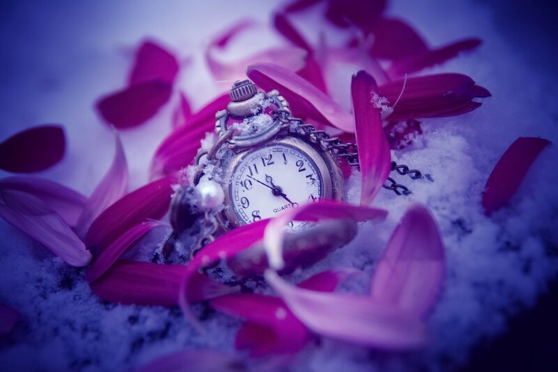 Pocket Watch in Snow — Purple