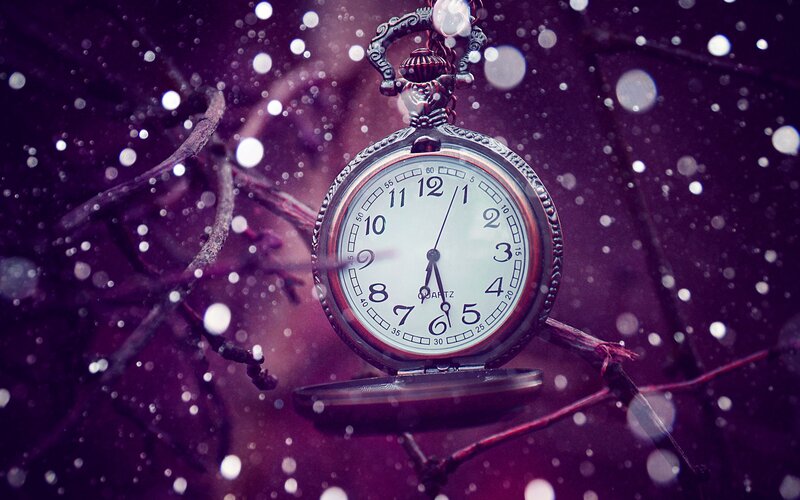 Pocket watch in snowy branches