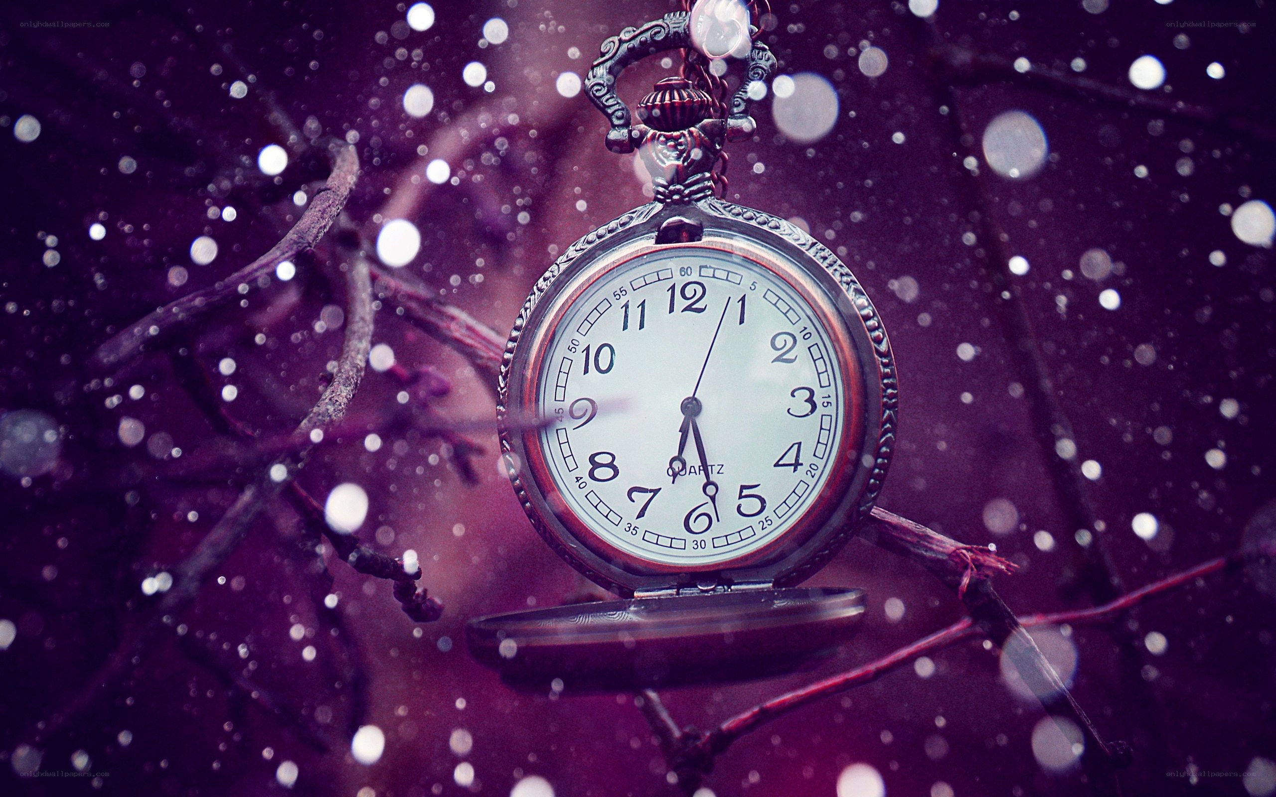 Pocket watch in snowy branches