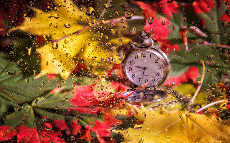 Pocket Watch on Autumn Leaves