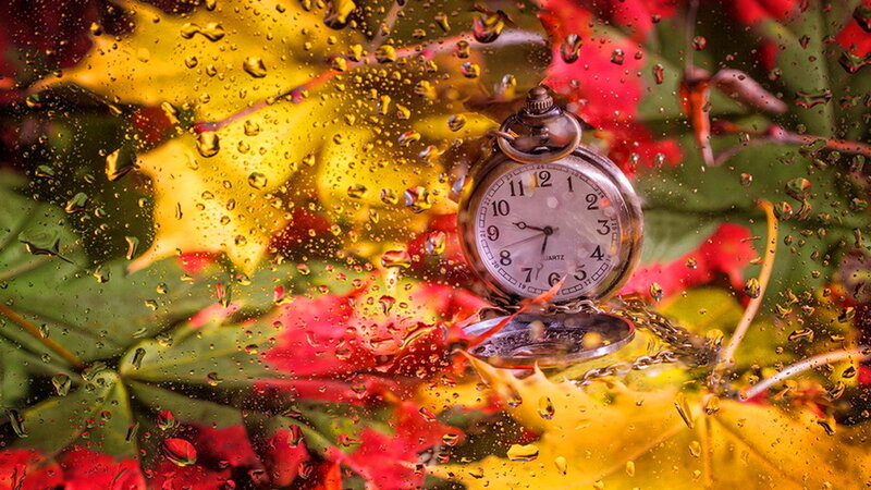 Pocket Watch on Autumn Leaves — Yellow