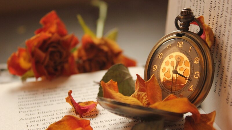 Pocket Watch on Book — Brown, Nostalgic, Autumn