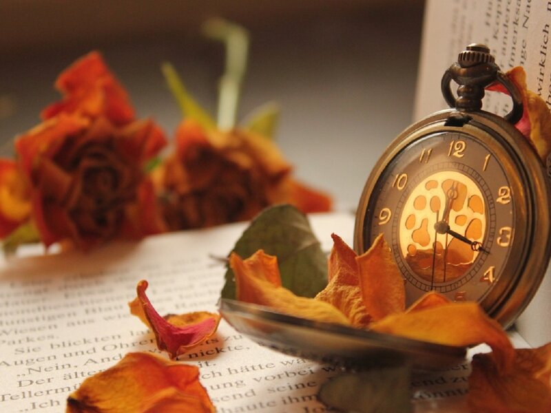 Pocket Watch on Book — Brown, Nostalgic