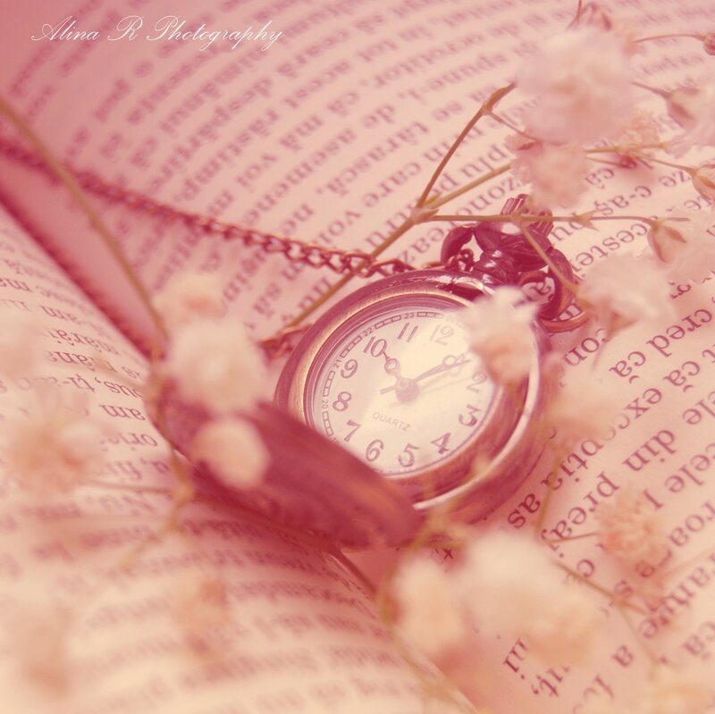 Pocket Watch on Book — Pink, Serene
