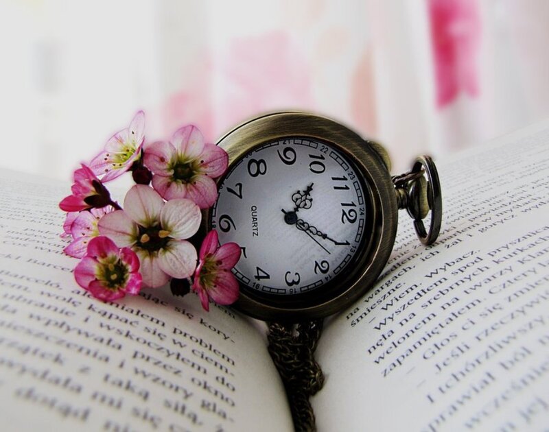 Pocket Watch on Book — White, Serene
