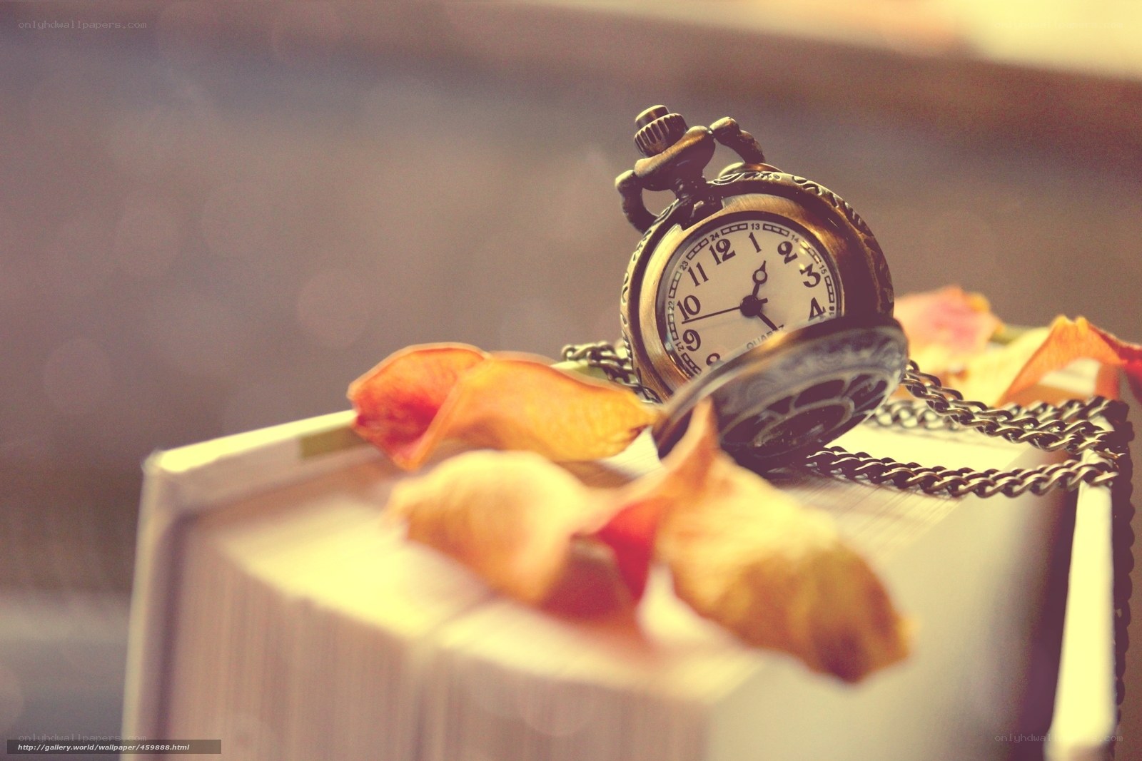 Pocket watch on book with petals