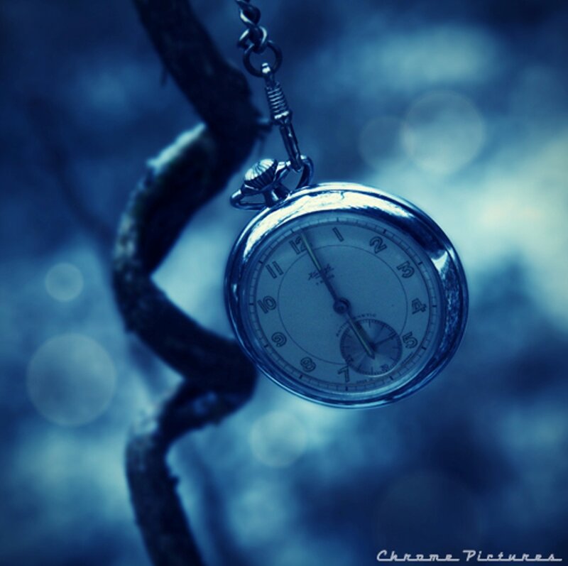 Pocket Watch on Branch — Blue