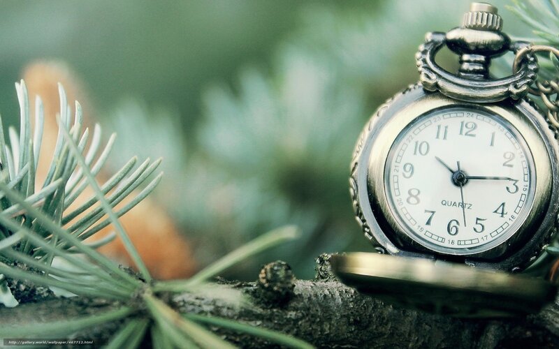 Pocket Watch on Branch — Green, Serene