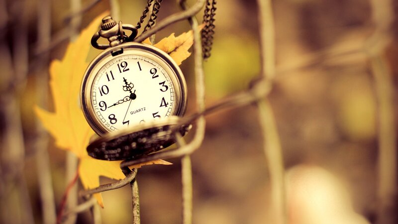 Pocket Watch on Branch — Yellow, Calm