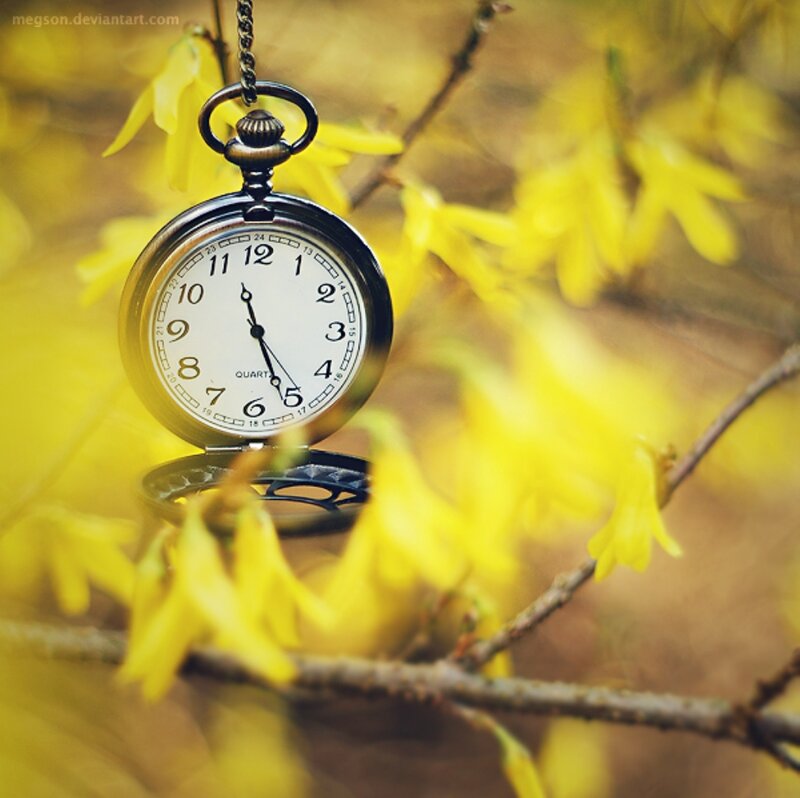 Pocket Watch on Branch — Yellow