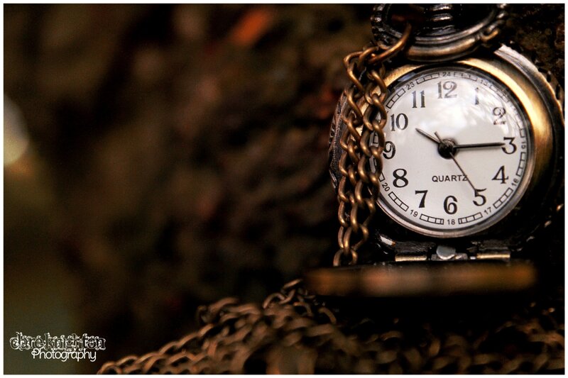 Pocket Watch on Chain — Brown