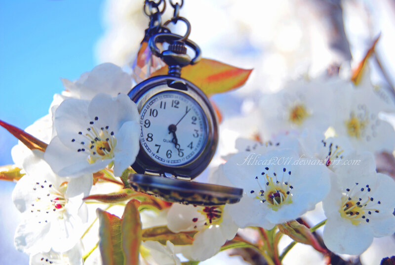 Pocket Watch on Flowers