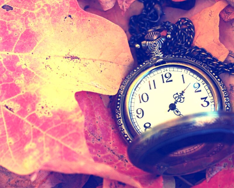 Pocket Watch on Leaf — Pink