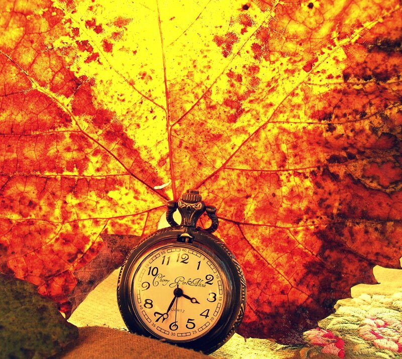 Pocket Watch on Leaf