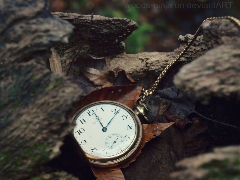 Pocket Watch on Leaves — Brown, Serene