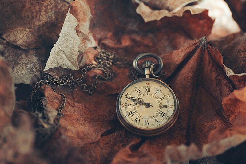 Pocket Watch on Leaves — Brown
