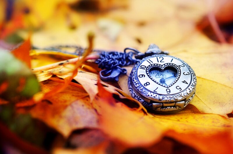 Pocket Watch on Leaves — Yellow, Calm, Autumn
