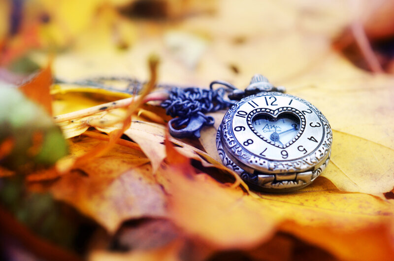 Pocket Watch on Leaves — Yellow, Calm