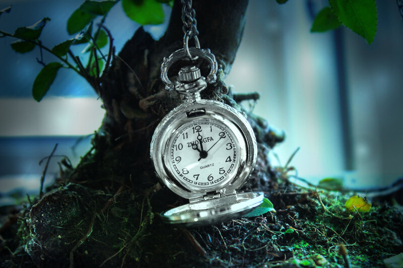Pocket Watch on Moss — Green, Dramatic