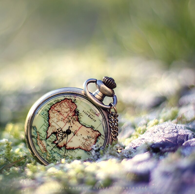 Pocket Watch on Moss — Green