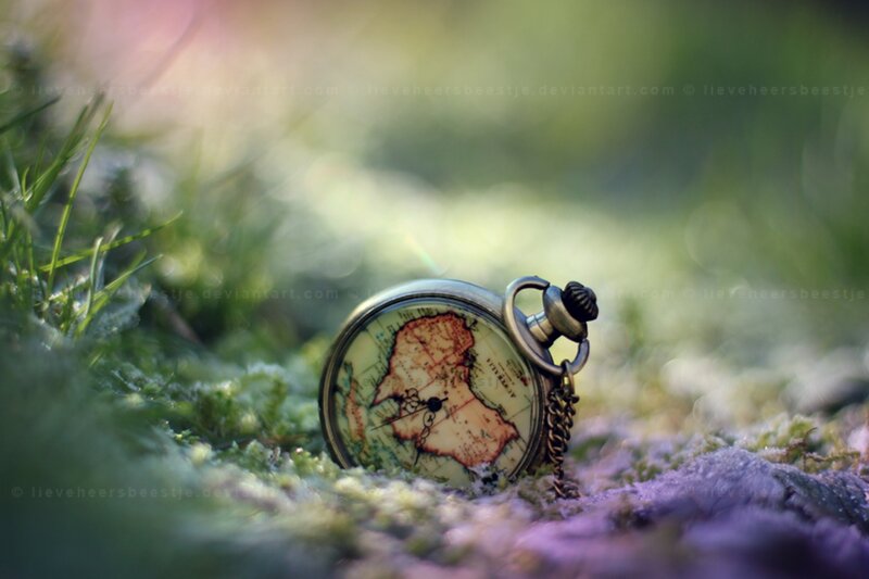 Pocket Watch on Moss
