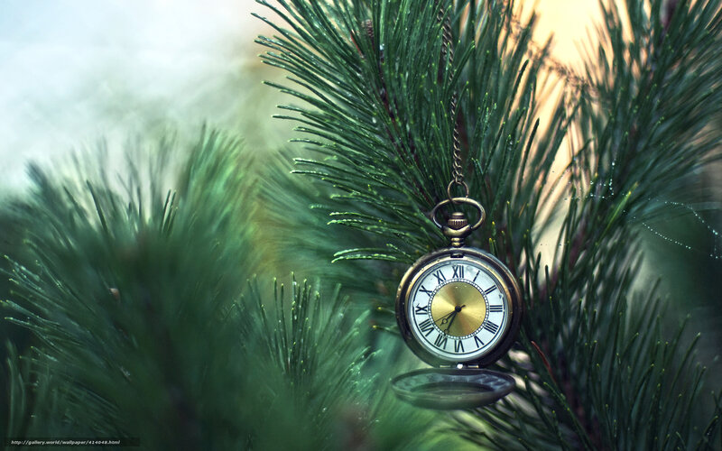 Pocket Watch on Pine Branch — Green