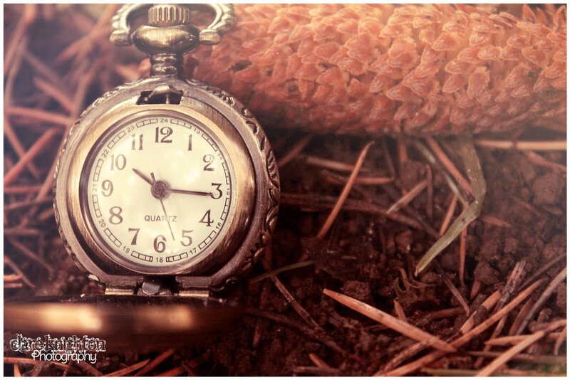Pocket Watch on Pine Needles