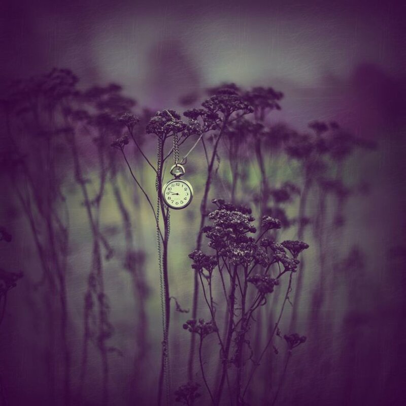 Pocket Watch on Plant