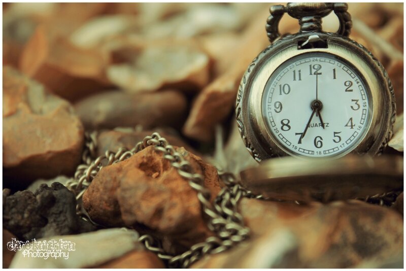 Pocket Watch on Rocks — Brown