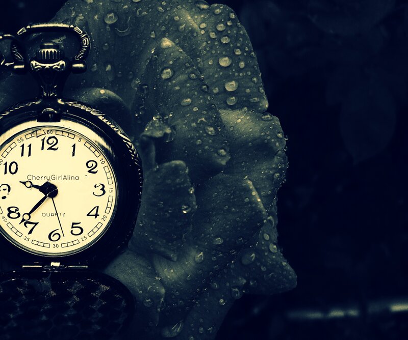 Pocket Watch on Rose