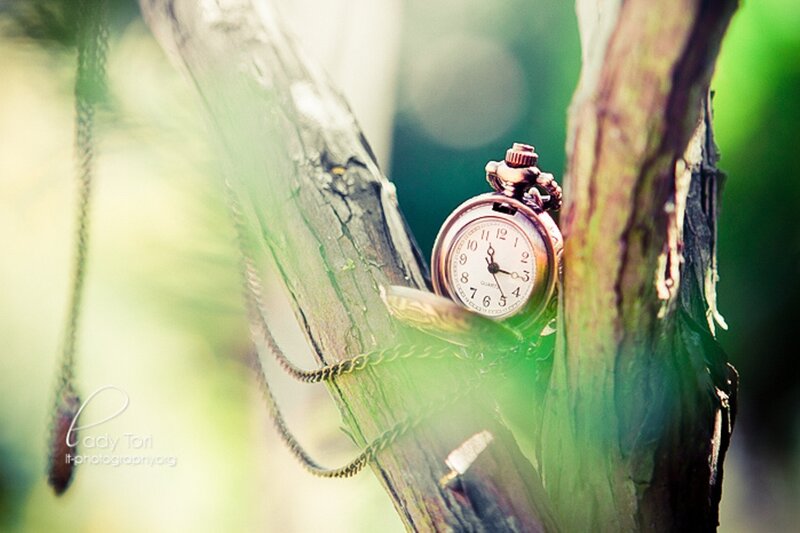 Pocket Watch on Tree Branch