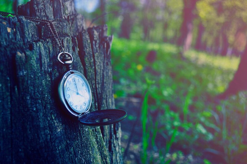 Pocket Watch on Tree Stump — Green