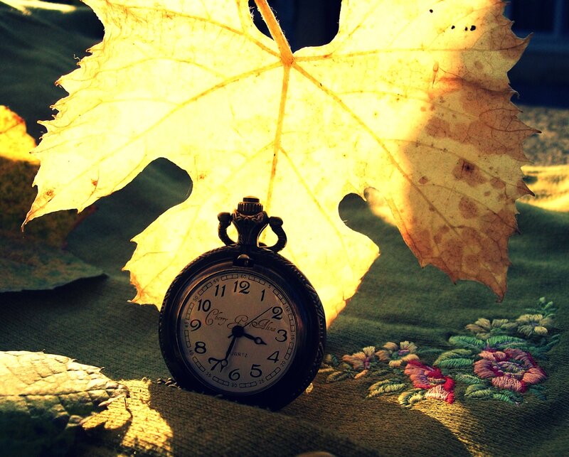 Pocket Watch under Leaf
