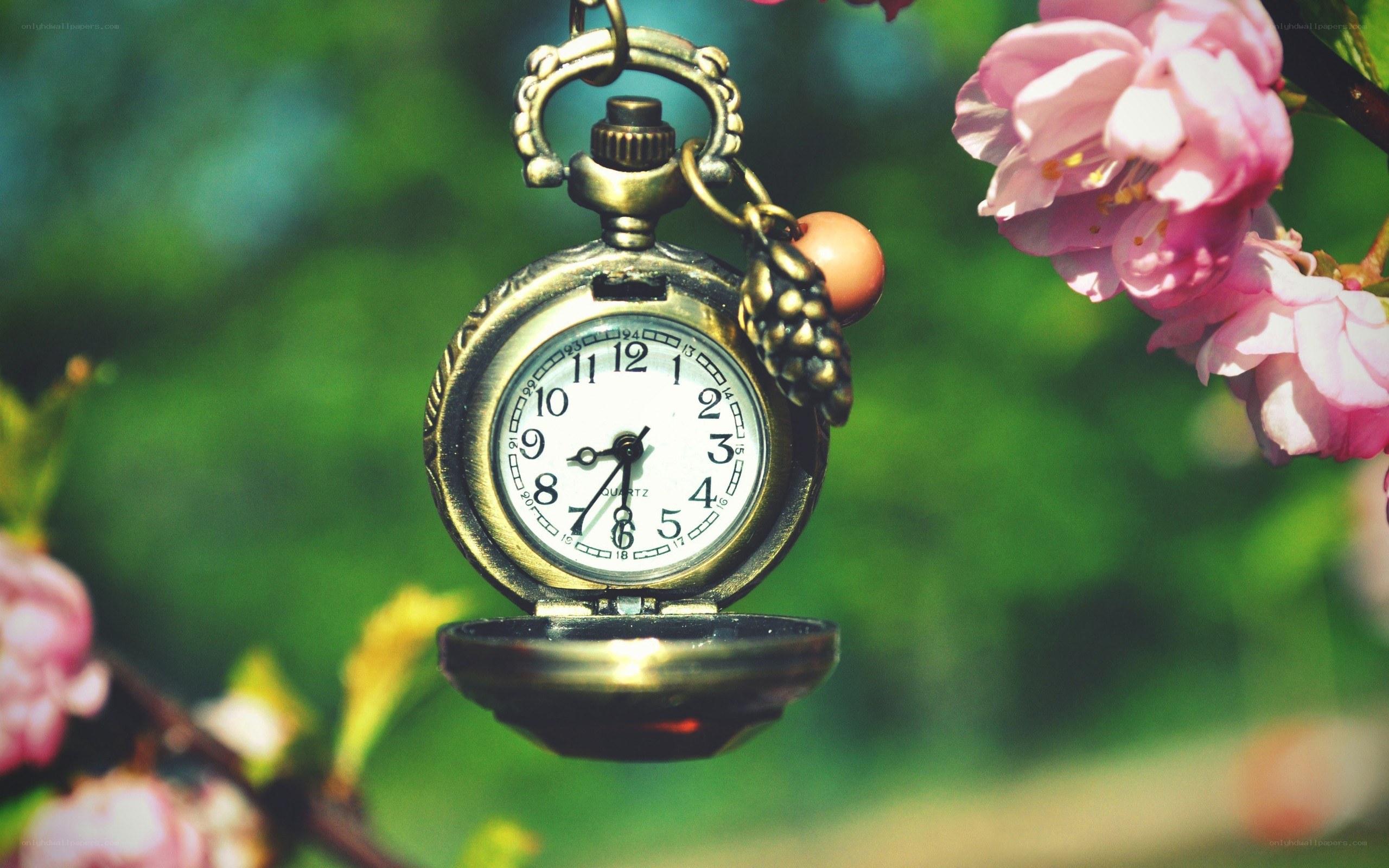 Pocket watch with cherry blossoms