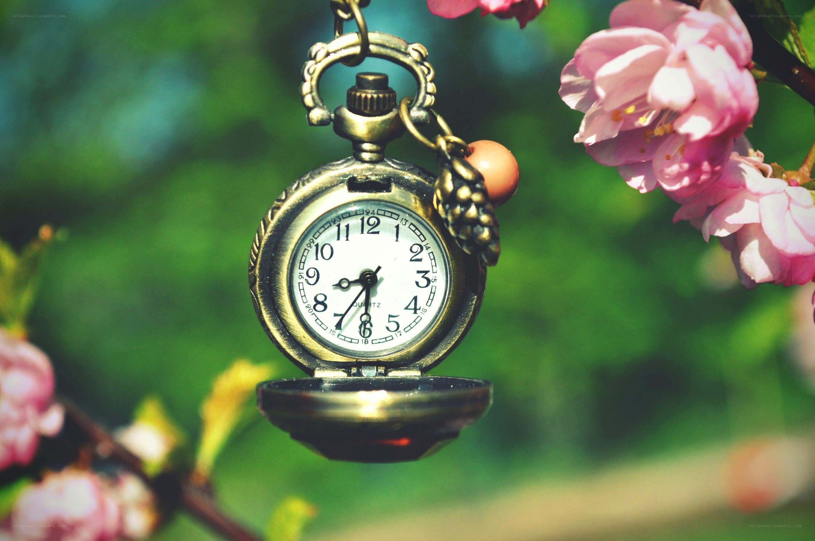 Pocket watch with cherry blossoms