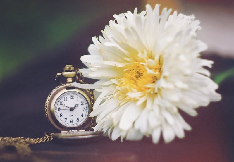 Pocket Watch with Daisy