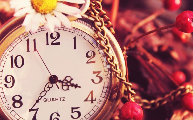 Pocket Watch with Daisy — White, Calm