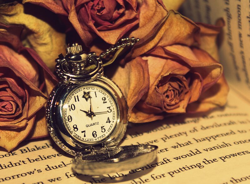 Pocket Watch with Dried Roses — Brown, Nostalgic