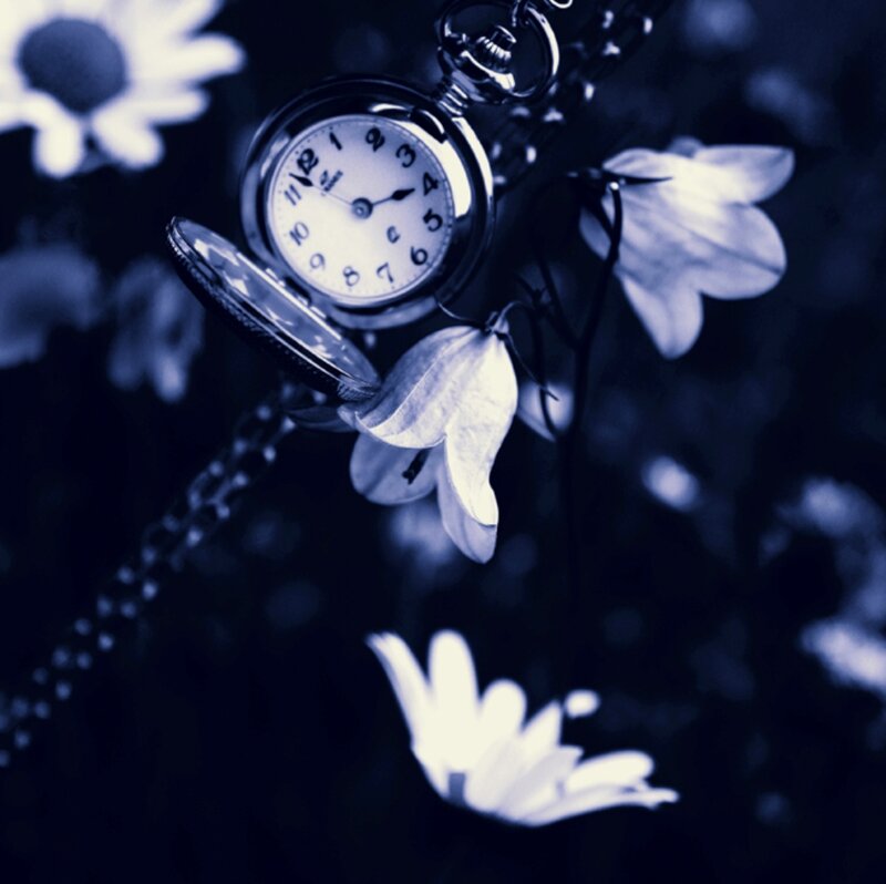 Pocket Watch with Flowers — Blue, Dreamy