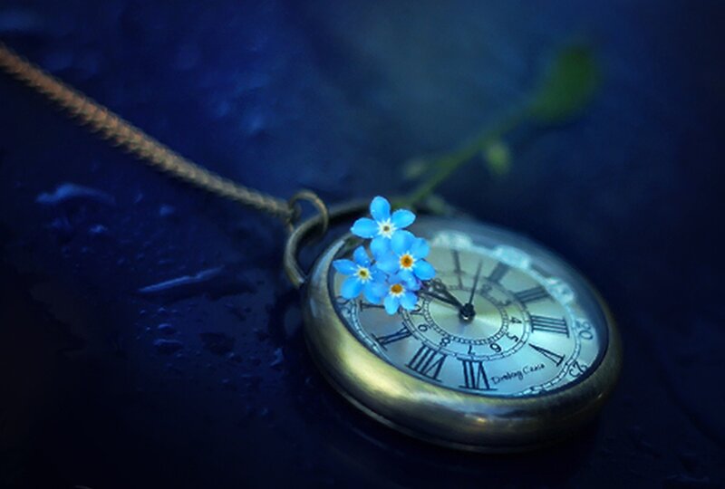 Pocket Watch with Flowers — Blue