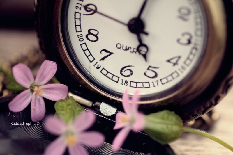 Pocket Watch with Flowers — Pink, Calm